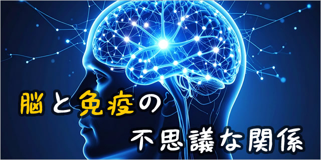 バナー